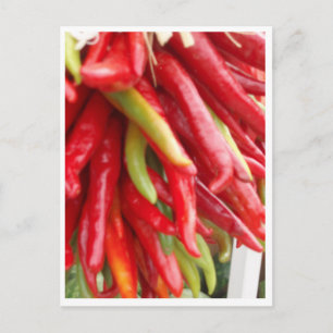Carte Postale Nouveau Mexique Red Chili