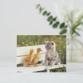 Carte Postale Nouveaux amis (Debout devant)