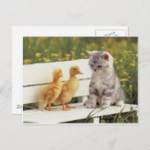 Carte Postale Nouveaux amis (Devant / Derrière)