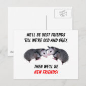 Carte Postale Nouveaux amis (Devant / Derrière)