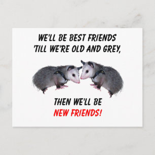 Carte Postale Nouveaux amis
