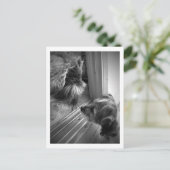 Carte Postale Nouveaux amis (Debout devant)