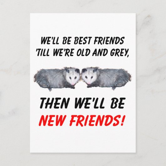 Carte Postale Nouveaux anciens amis avec des fonds (Devant)