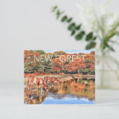 Carte Postale Nouveaux Ponts Forestiers (Debout devant)
