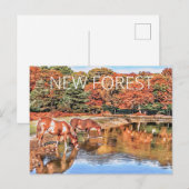 Carte Postale Nouveaux Ponts Forestiers (Devant / Derrière)