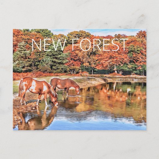 Carte Postale Nouveaux Ponts Forestiers (Devant)