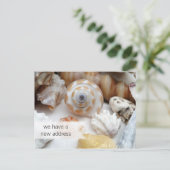 Carte postale nouvelle adresse Coastal Living (Debout devant)