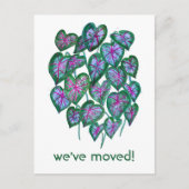 Carte Postale NOUVELLE ADRESSE DE RÉSIDENCE Feuilles de Caladium (Devant)