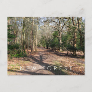 Carte Postale Nouvelle forêt