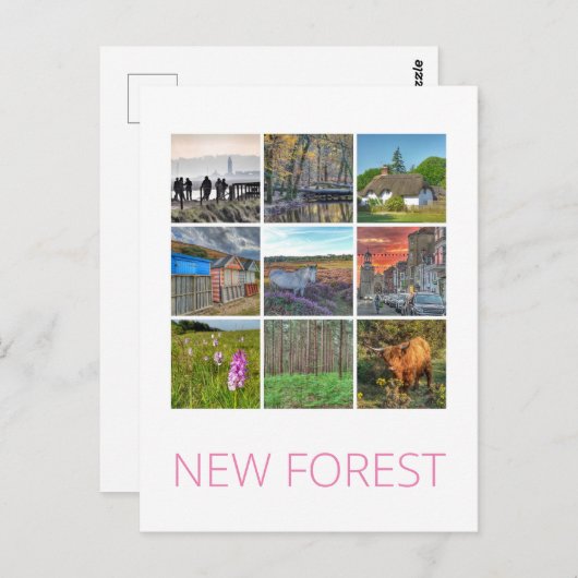 Carte Postale Nouvelle forêt (Devant / Derrière)