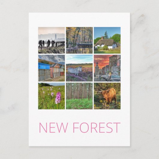 Carte Postale Nouvelle forêt (Devant)