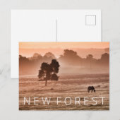 Carte Postale Nouvelle Forêt (Devant / Derrière)