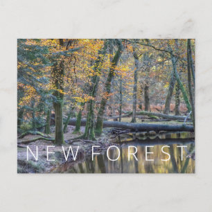 Carte Postale Nouvelle forêt