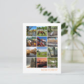 Carte Postale Nouvelle forêt (Debout devant)