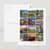 Carte Postale Nouvelle forêt (Devant / Derrière)