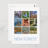 Carte Postale Nouvelle forêt (Devant / Derrière)