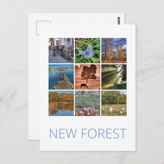 Carte Postale Nouvelle forêt (Devant / Derrière)