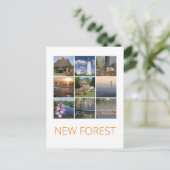 Carte Postale Nouvelle forêt (Debout devant)
