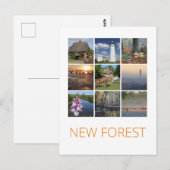 Carte Postale Nouvelle forêt (Devant / Derrière)