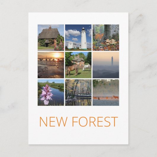 Carte Postale Nouvelle forêt (Devant)