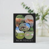 Carte Postale Nouvelle forêt (Debout devant)
