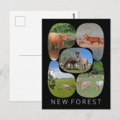 Carte Postale Nouvelle forêt (Devant / Derrière)