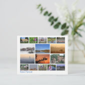 Carte Postale Nouvelle forêt multi-image 2 (Debout devant)