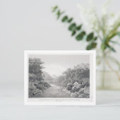 Carte Postale Nouvelle-Hollande : Vue sur la rivière Waragamba d (Debout devant)