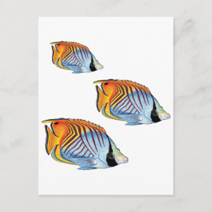 CARTE POSTALE NOUVELLE JOURNÉE SCOLAIRE