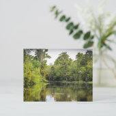 Carte Postale Nouvelle-Orléans, Louisiane, bayou, (Debout devant)