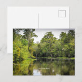 Carte Postale Nouvelle-Orléans, Louisiane, bayou, (Devant / Derrière)