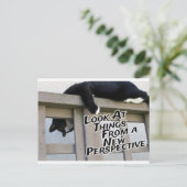 Carte Postale Nouvelle perspective (Debout devant)