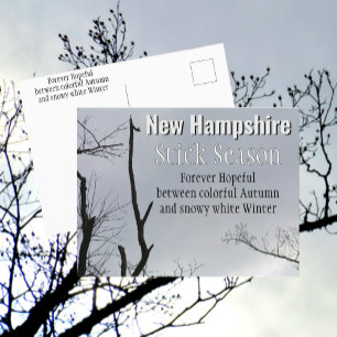 Carte Postale Nouvelle Saison des Bâtons Hampshire Photo de Nouv