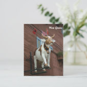 Carte Postale Nouvelle vache de Glaris (Debout devant)
