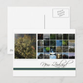 Carte Postale Nouvelle-Zélande (Devant / Derrière)