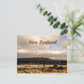 Carte Postale Nouvelle-Zélande (Debout devant)