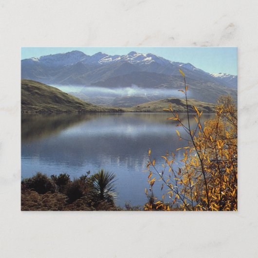 Carte Postale Nouvelle-Zélande (Devant)