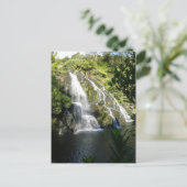 Carte Postale Nouvelle-Zélande par nature (Debout devant)