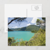 Carte Postale Nouvelle-Zélande, South Island, Marlborough Sons. (Devant / Derrière)