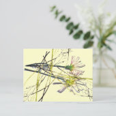 CARTE POSTALE NOUVELLES CONCEPTIONS VINTAGES (Debout devant)