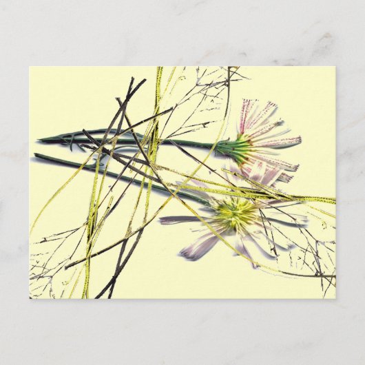 CARTE POSTALE NOUVELLES CONCEPTIONS VINTAGES (Devant)