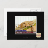 Carte Postale Nouvelles de rupture (Devant / Derrière)