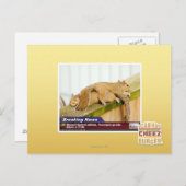 Carte Postale Nouvelles de rupture (Devant / Derrière)