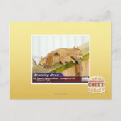 Carte Postale Nouvelles de rupture (Devant)