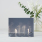 Carte Postale Novaeangliae de Megaptera de baleines de bosse) (Debout devant)