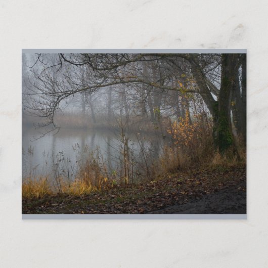 Carte Postale Novembre Tree CC0310 (Devant)