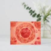 Carte Postale Noyau Cellulaire Avec Chromosome 2 (Debout devant)