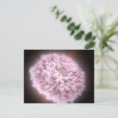 Carte Postale Nuage de débris de deux étoiles à neutrons (Debout devant)