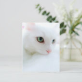 Carte Postale Nuages doux (Debout devant)