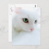 Carte Postale Nuages doux (Devant / Derrière)